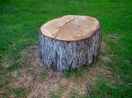 Best Arborist Consultation Services  in Greenville, AL