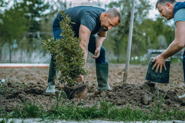 Best Artificial Turf Installation  in Greenville, AL